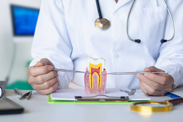 Best Broken or Chipped Tooth Repair in Bassett, VA
